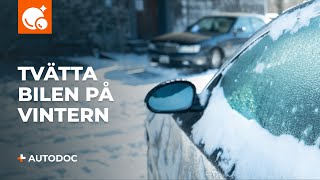 Så tvättar du bilen under vintern  AUTODOC tipsar [upl. by Wasserman]