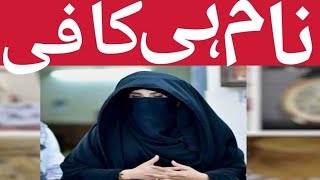 Bushra Bibi  Bridge Between Imran Khan amp PTI [upl. by Alabaster427]