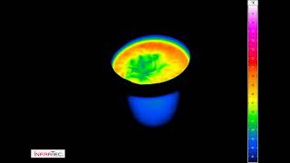 RayleighBénard convection in a glass of water [upl. by Slen]