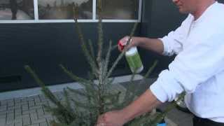 AlfaSTOP kerstboom impregneer voor particulier gebruik instructie  tutorial [upl. by Rai]