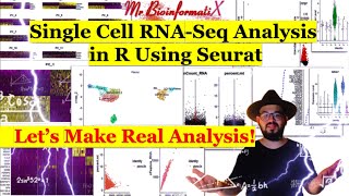 Single Cell RNASeq Analysis in R With SeuratscRNAseq Analysis SeuratBioinformatics for beginners [upl. by Adnorahc12]