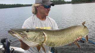 Northern Wisconsin Musky Fishing w Rob Manthei [upl. by Akoyn33]