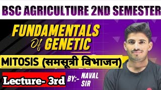 MITOSIS  BSC AGRICULTURE FIRST YEAR 2ND SEM FUNDAMENTAL OF GENETICS  Bsc Agri Genetics notes class [upl. by Sparke]