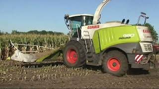 Maïs 2010  van Bakel  Claas Jaguar 980 met 12 rijer  USA Equipment  Massey Ferguson tractors [upl. by Bleier]