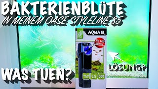 BakterienblÃ¼te in meinem Oase StyleLine 85 kann da der Aquael Uni Filter 500 UV wirklich helfen [upl. by Julianna255]