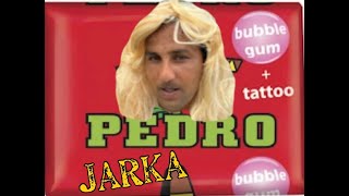 JARKA  Pedro Žuvačky COVER  VERSION  OFFICIALVideo [upl. by Anot]