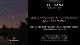 TEHILIM 93  YITZCHAK MEIR  HEBRAICO PORTUGUÊS [upl. by Ogu869]