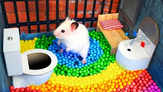 Hamster Escapes the Awesome Maze for Pets in real life 🐹 The Best Hamster Challenges [upl. by Nollahs]