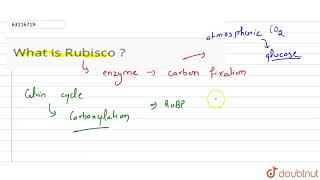 What is Rubisco [upl. by Anelegna]