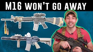 Why the US Armys M16 rifle cant be replaced [upl. by Irod189]