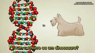 O que é DNA e Como ele Funciona [upl. by Nena]