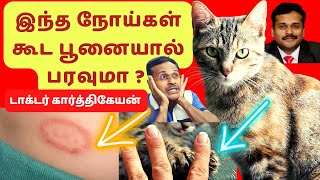 பூனையால் வரும் நோய்கள்  cat fever symptoms treatment tamil dr Karthikeyan  cheetah india Namibia [upl. by Edya]