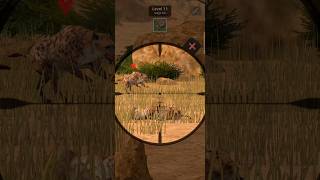 Hunting of hyaena in Africa huntingshort gaming [upl. by Nylsirhc]