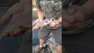 Full day of fishing lake subscribe fishing bigfish viral [upl. by Laband380]