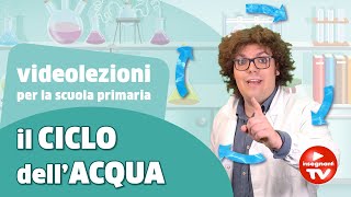 Video lezione il ciclo dellacqua  Renato lo scienziato Renatoloscienziato [upl. by Turner932]