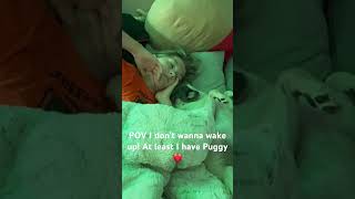 POV I don’t wanna wake up ❤️cute sleep fyp pug girl pug puppylove [upl. by Lowndes61]