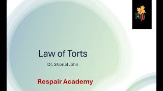 Overview of Tort Law [upl. by Tallou]