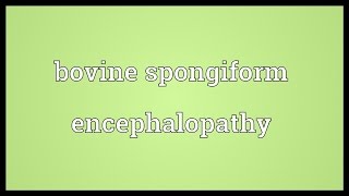 Bovine spongiform encephalopathy Meaning [upl. by Yul]