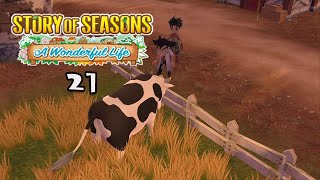 Lets Play Story of Seasons A Wonderful Life 21 Winter Days [upl. by Anilatac]