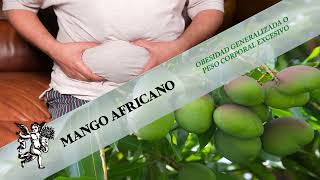 ¡EL MANGO AFRICANO UNA DELICIOSA FRUTA QUE TE BRINDA EQUILIBRIO Y BIENESTAR A TU CUERPO [upl. by Rance]