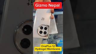 OnePlus 12 Hydrogel Membrane gizmonepal shorts oneplus12 hydrogel hydrogelmembrane [upl. by Enyleve]