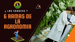 6 ramas de la Agronomía ¿ En cual te gustaría especializarte [upl. by Ohcirej]