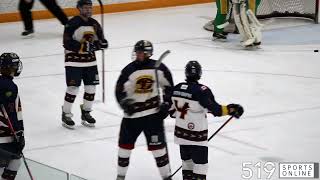 PJHL  New Hamburg Firebirds vs Hespeler Shamrocks [upl. by Ahsieym]