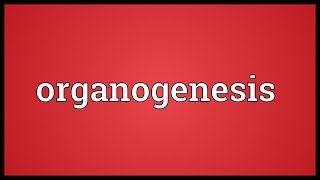 Organogenesis Meaning [upl. by Milson]