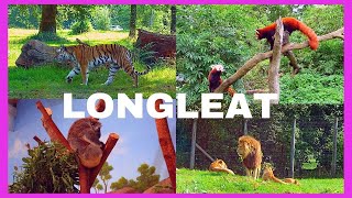 🦁LONGLEAT SAFARI AND ADVENTURE PARK Wiltshire UK  Drive through safari  Boat Ride  Train Ride 🦁 [upl. by Elfont]