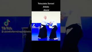 Aikido master amazing skills martial arts extreme stunts hapkido karate Kung Fu wushu training [upl. by Oicnerolf881]