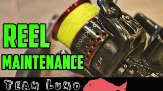 Shimano Stradic Ci4 2500 Reel Maintenance [upl. by Akinom718]