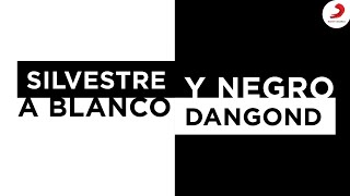 A Blanco Y Negro Silvestre Dangond  Letra Oficial [upl. by Mcintosh316]