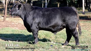 Lot 18 Peakes Bowen Chisum T897 [upl. by Fulton]