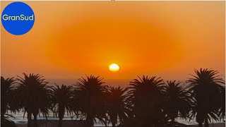 Swakopmund 2o24  Namibia 🇳🇦  Traumziel der Deutschen zwischen Palmen und Wüste am SüdAtlantik [upl. by Adnyc]