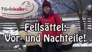 Fellsättel Vorteile Nachteile und wichtige Hinweise [upl. by Raychel]