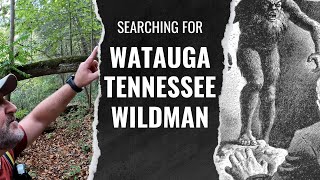 My Watauga Tennessee Wildman Search  What I Found Was SAD [upl. by Jacoby564]