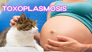 TOXOPLASMOSIS Y EMBARAZO  Cofia Educativa [upl. by Almap465]