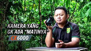 Hasil Video Sony A6000 di Tahun 2024 Masih Bisakah Dipertahankan [upl. by Eedrahc136]