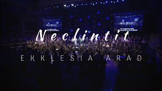 Ekklesia Arad  Neclintit Build My Life [upl. by Ecinnahs]