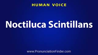 How To Pronounce Noctiluca Scintillans [upl. by Adolphus]