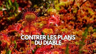 Contrer les plans du diable  LeDroitChemin [upl. by Deeyn]