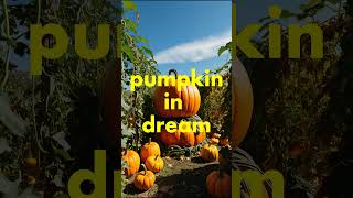 pumpkin dream meaningdreaming of harvesting pumpkinsdream about a big pumpkinsmallgreenorange [upl. by Inafetse517]