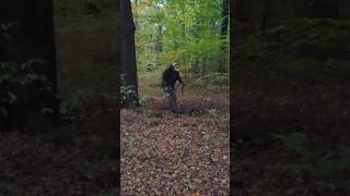 Poszukiwania i znaleziony skarb lasu xpdeusmetaldetector nature metaldetecting [upl. by Notnirb]