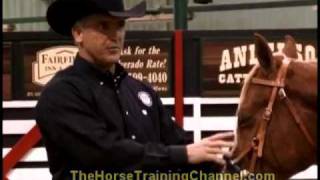 Champion Horse Training Tip 7 Benefits of Using A Sidepull [upl. by Asa789]