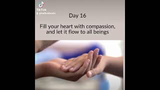 DAY 16 COMPASSION MEDITATION octmindfulnesschallenge [upl. by Zena351]