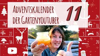 Gartenyoutuber Adventskalender 11 │ Meerrettich Honig Rezept [upl. by Aitnyc]