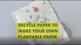 Create Your Own Plantable Paper From Recycled Paper [upl. by Geraldine24]