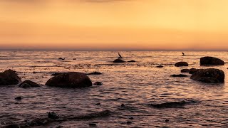 Fehmarn  Ostsee Yachthafen Steilküste [upl. by Natica]