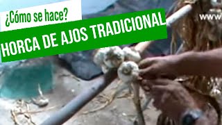 🧄🧄 Elaboración de la horca de ajos artesanal  Vivero Huerta Barbereta huertos [upl. by Mar]