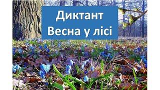 Українська мова Диктант Весна у лісі4 клас [upl. by Tallulah469]